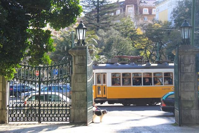Apartamento Bem Localizado Para Familias & Amigos *