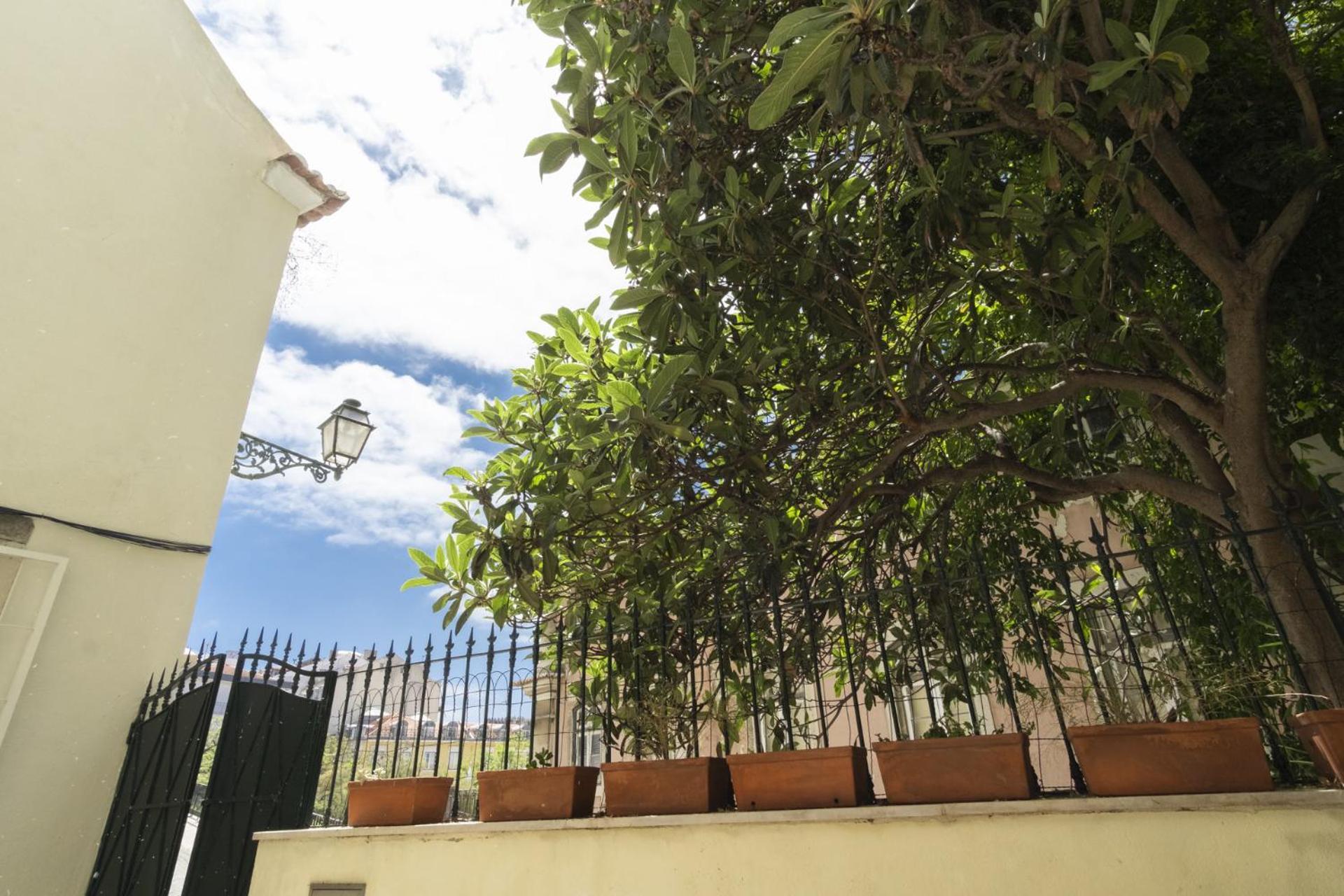 Apartment With Terrace In Downtown - Ttl279 *