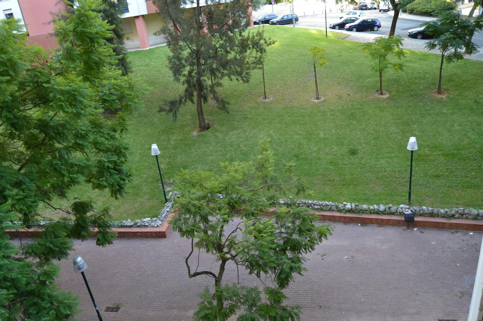 In One Flat Apartment