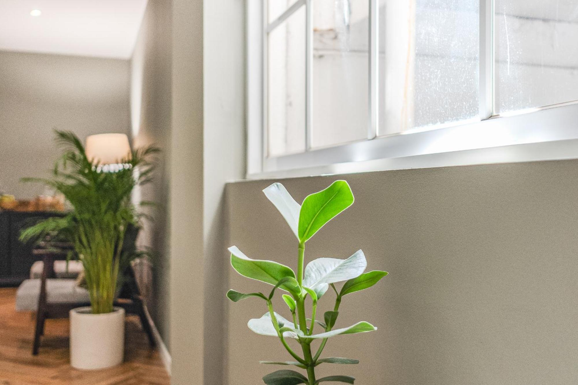 Guest house Hygge House 4*