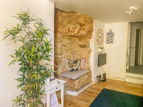 Apartment Historical Bica - 3 Bedroom