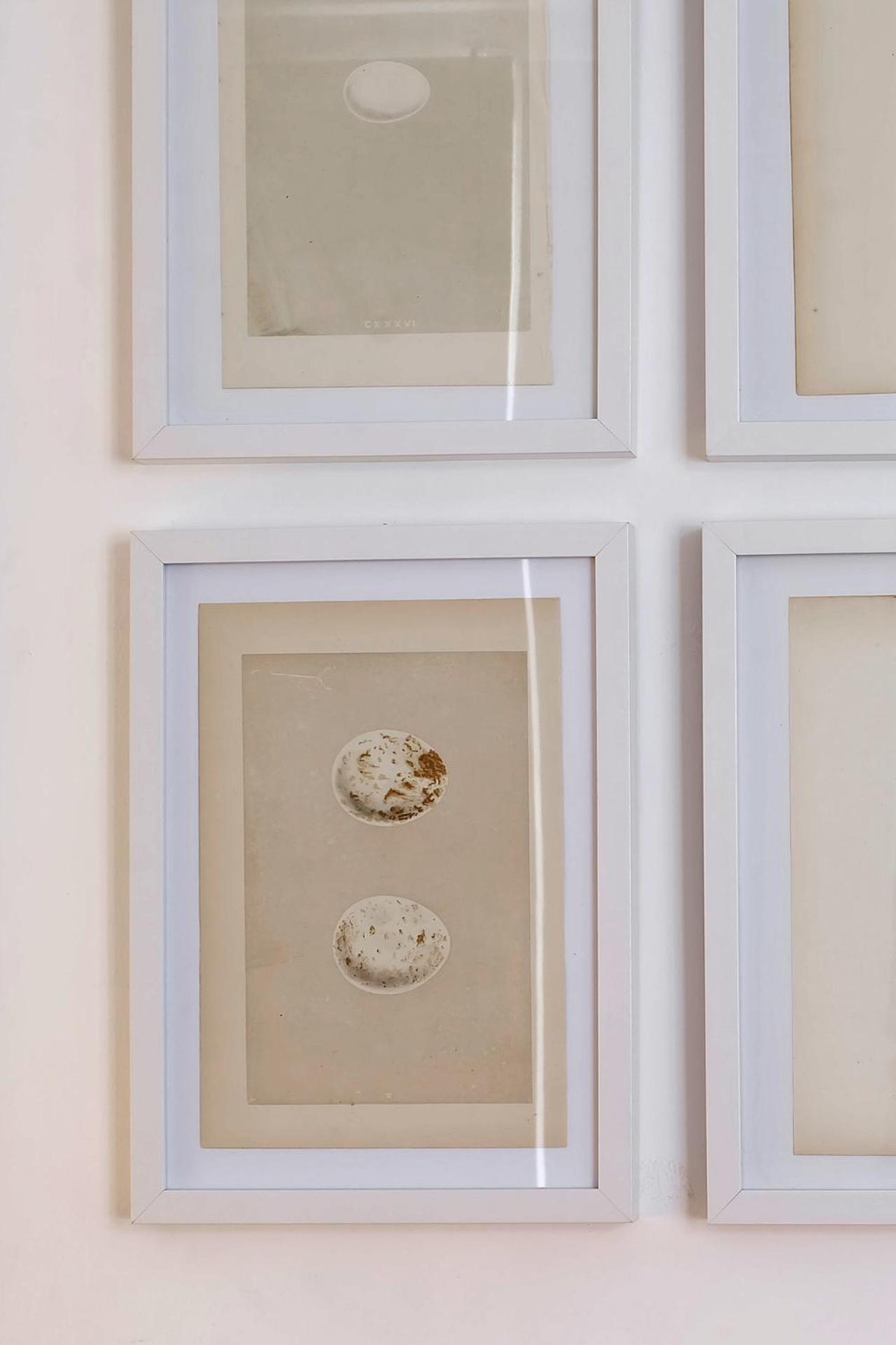 Cec Charm At Coolest Area To Stay: Pr. Real / Br. Alto Apartment Lisbon