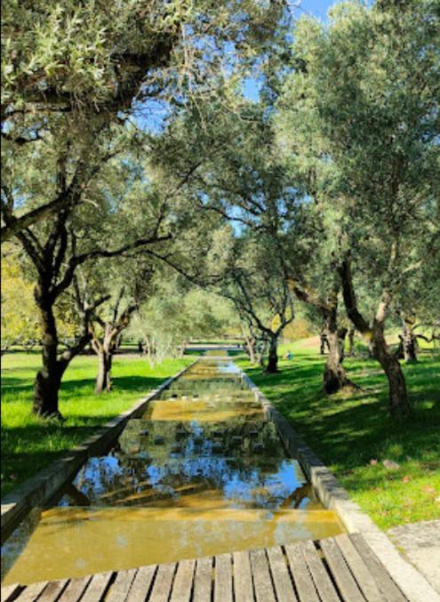5min Walk To Subway & 10min Drive To Airport Lisbon
