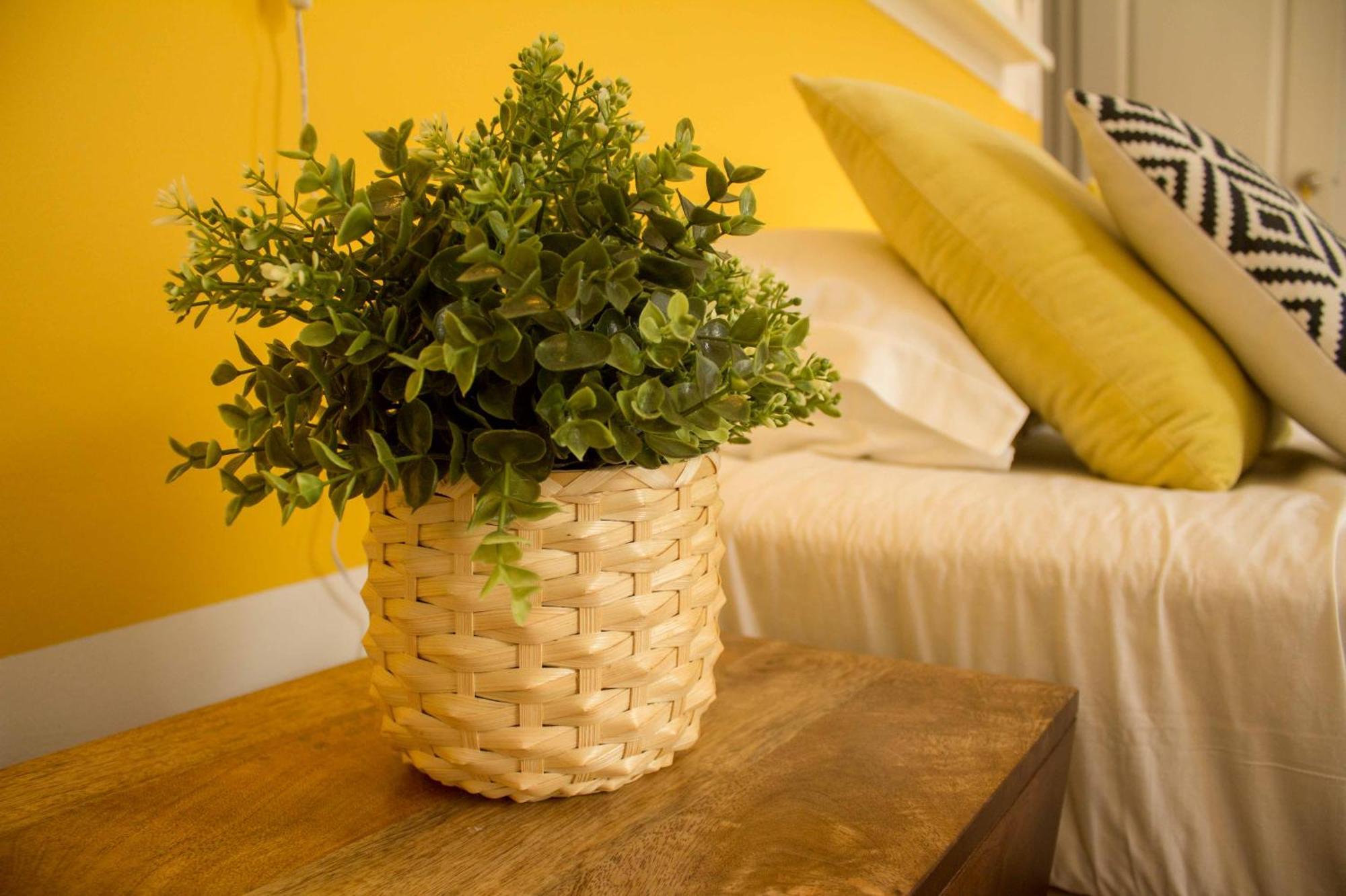 Bed & Breakfast Intendente 1865 3*