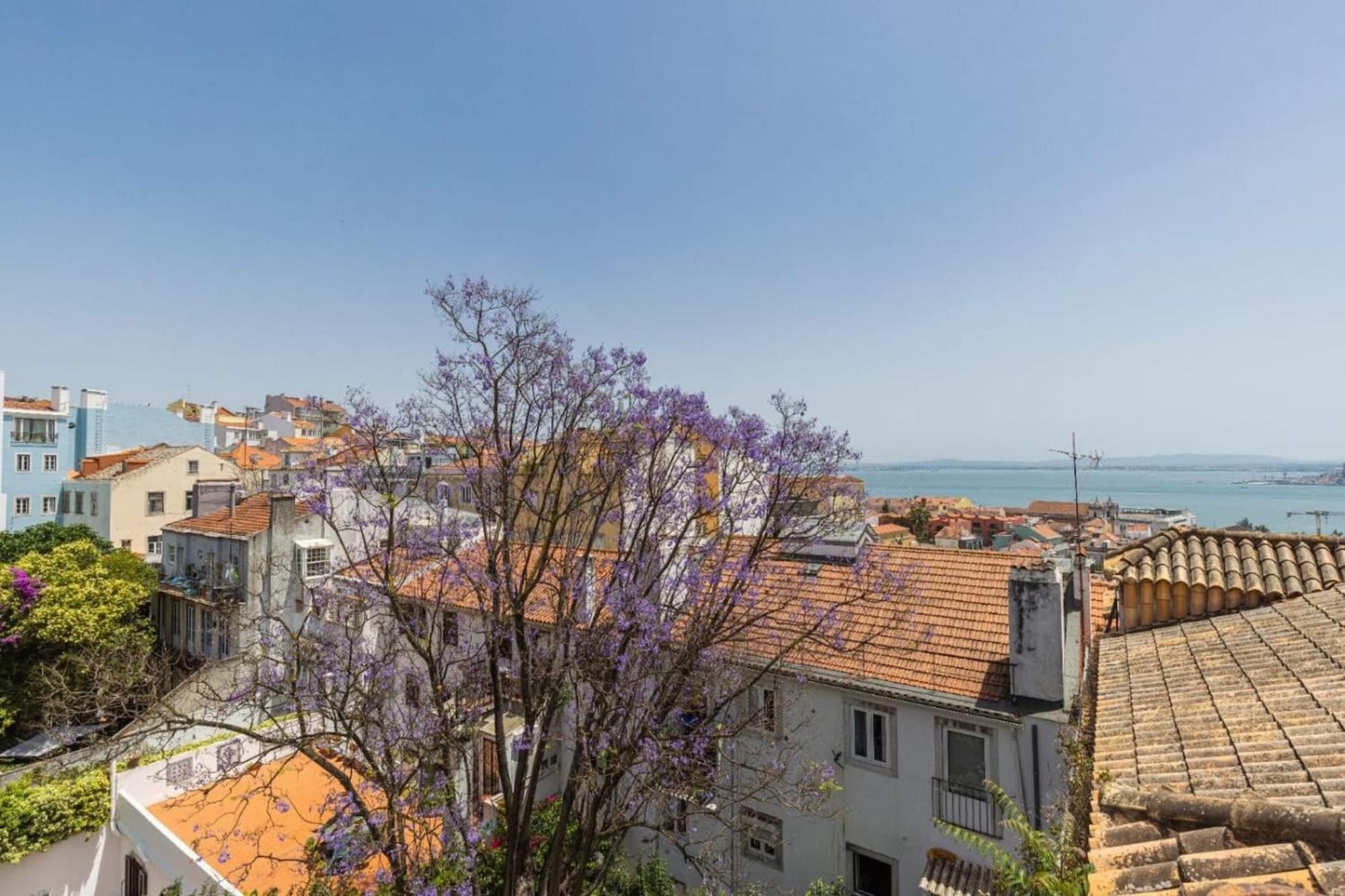 Apartamento Joao Da Mata Amazing Views By Innkeeper