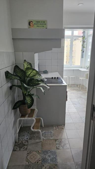 Homestay Only 3 People Center Of Lisbon
