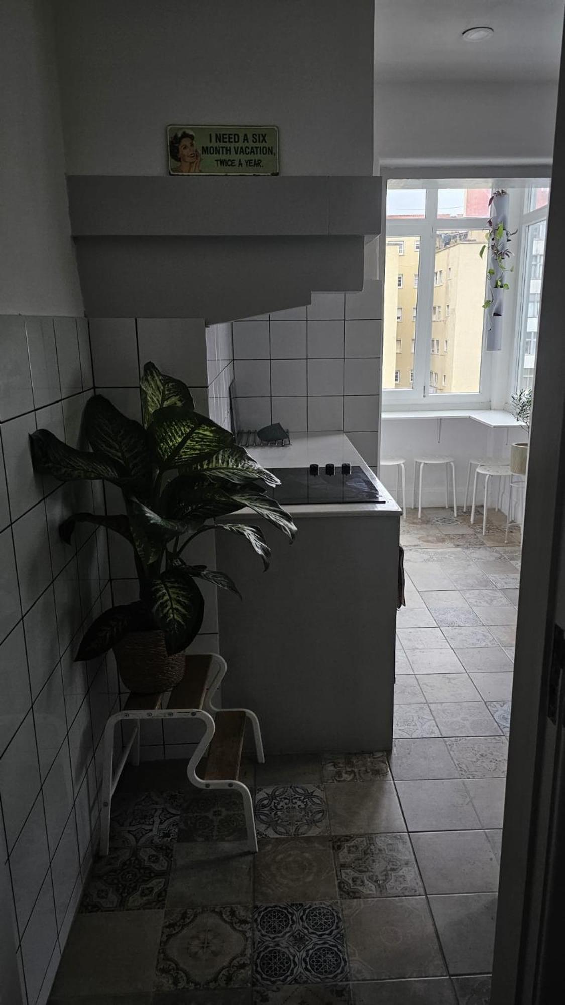 Homestay Grande Vista Centro 3 Personas *
