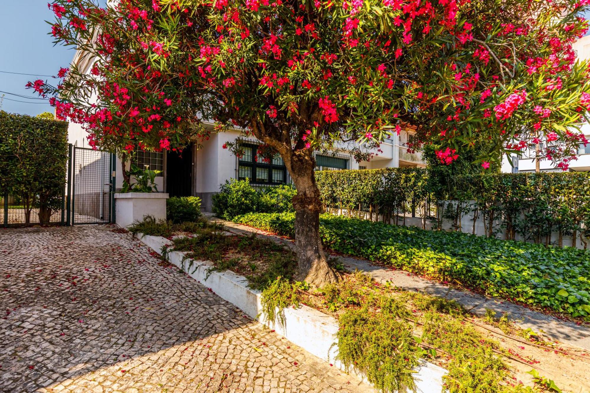 Holiday home Casa Da Laurentina - Charm & Garden Lisbon