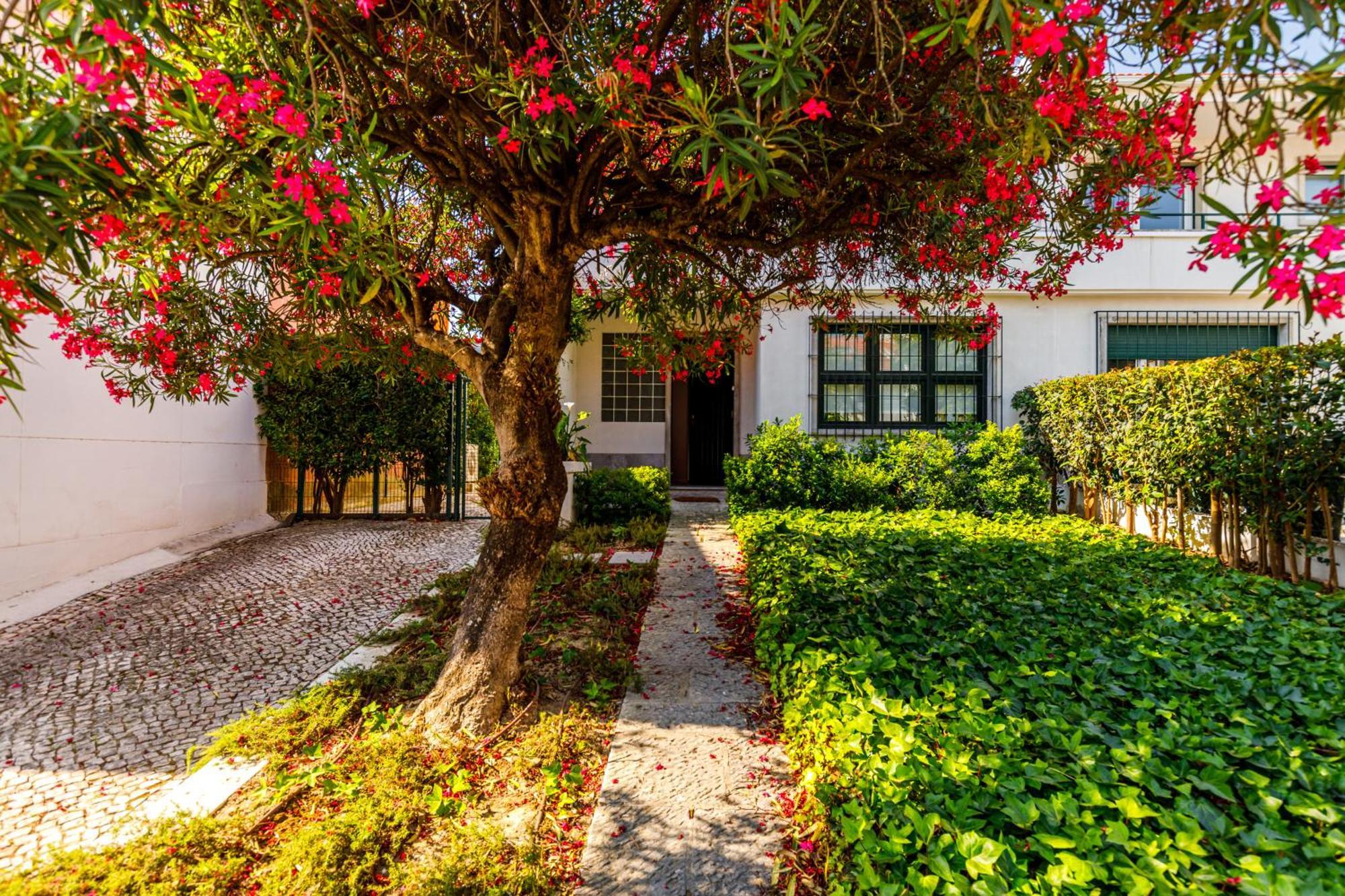 Casa Da Laurentina - Charm & Garden Holiday home *