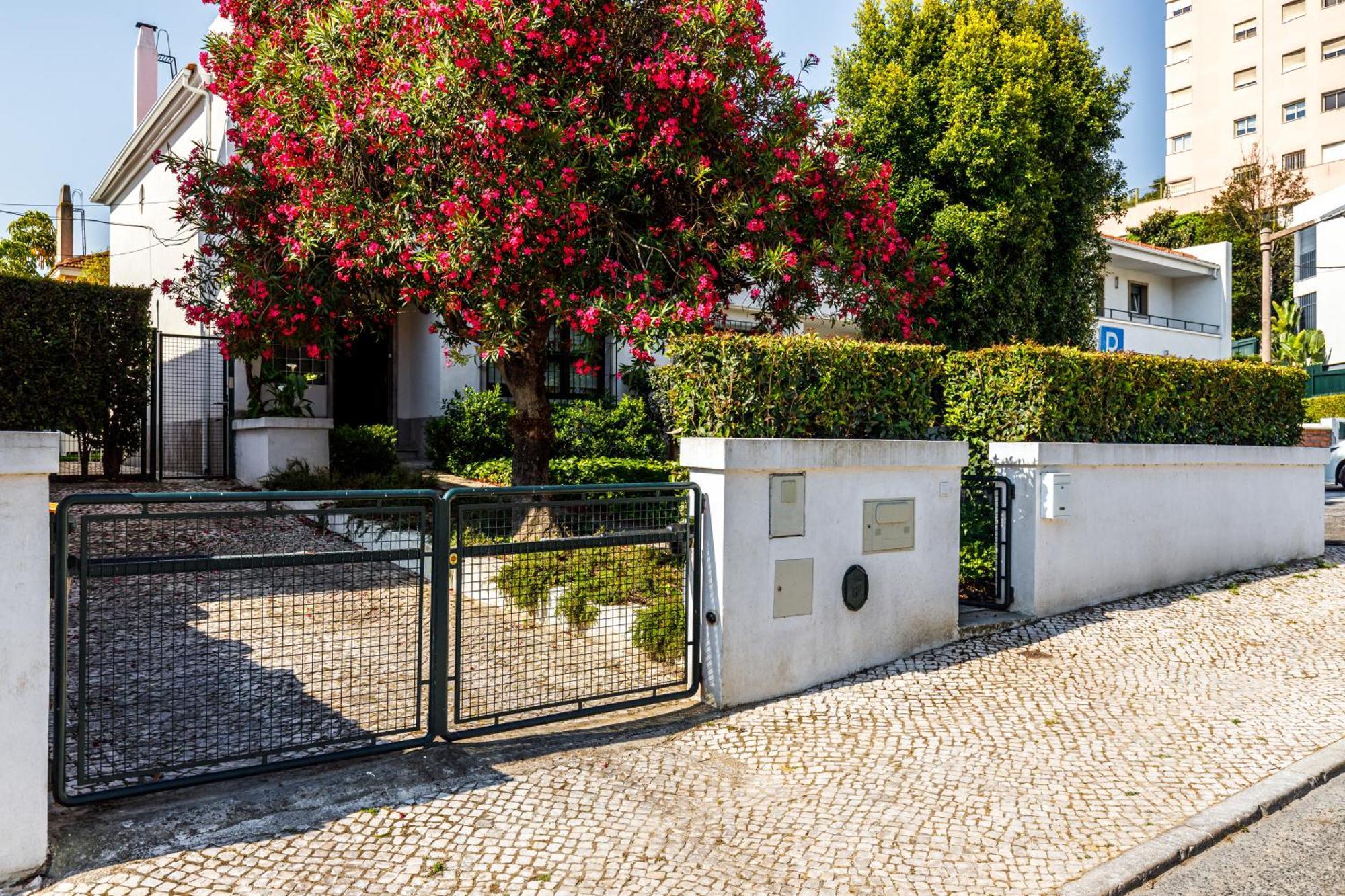 Holiday home Casa Da Laurentina - Charm & Garden
