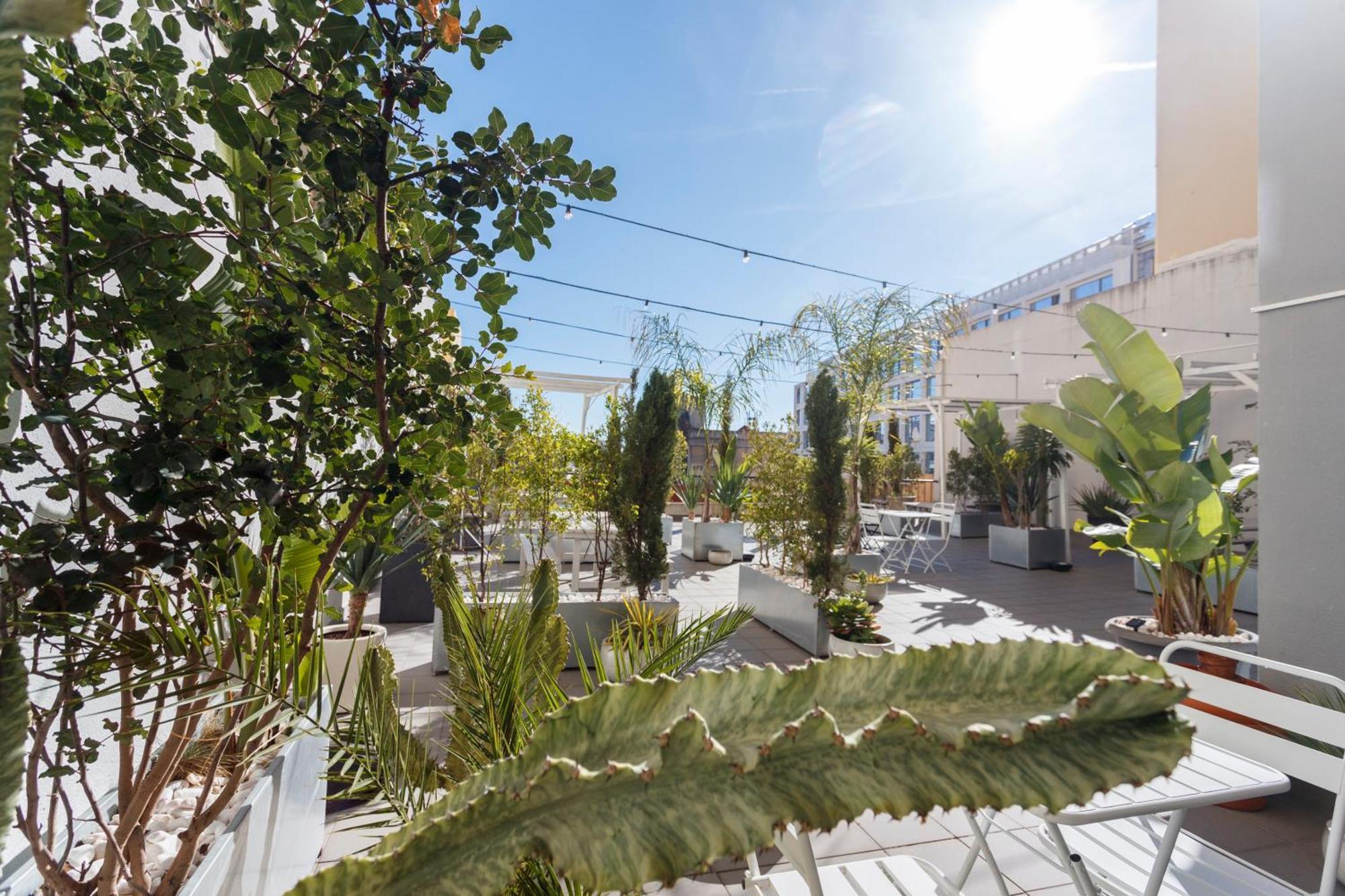 Apartment Apperol Escape - By Misha's Place 2a