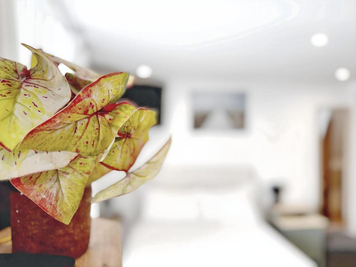 Apartment Alfacinha Fully Equipped By Homeful Homes Lisbon