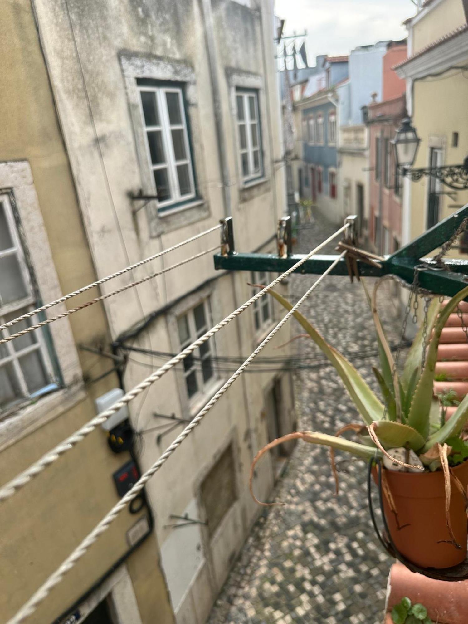 Francisca * Lisbon