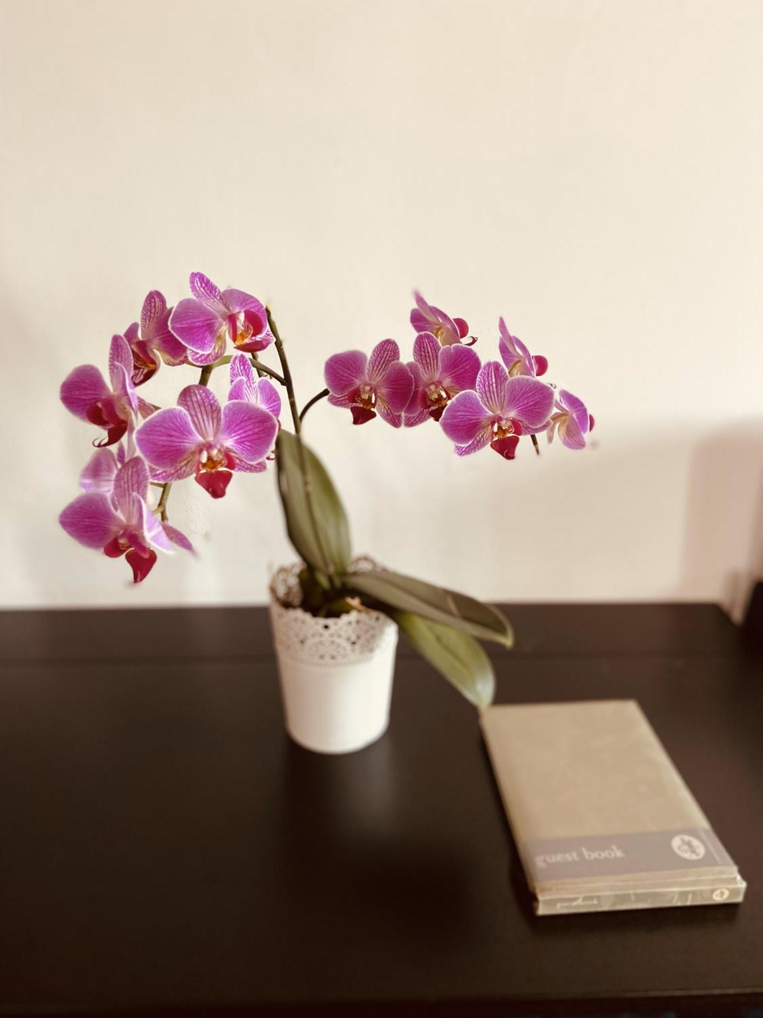 Apartment Alfama Amazing Tagus Views Aircon *
