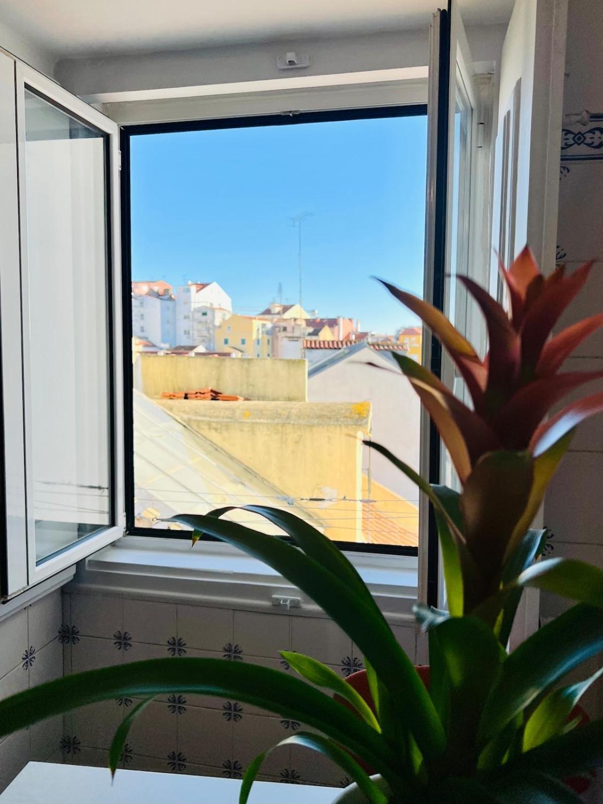 Apartment Cozy Near Bairro Alto