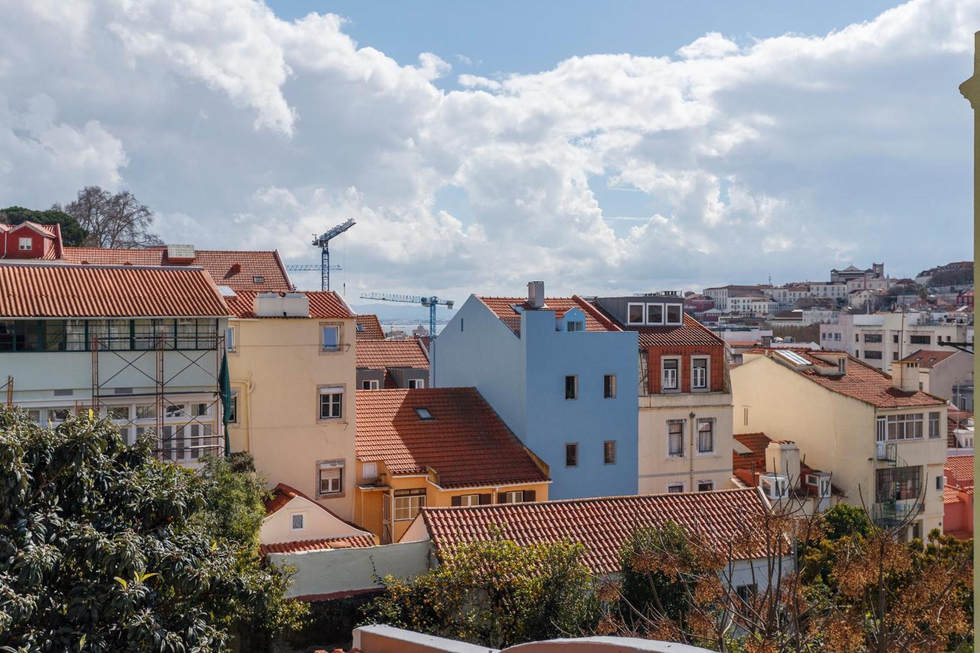 Apartment Avenida
