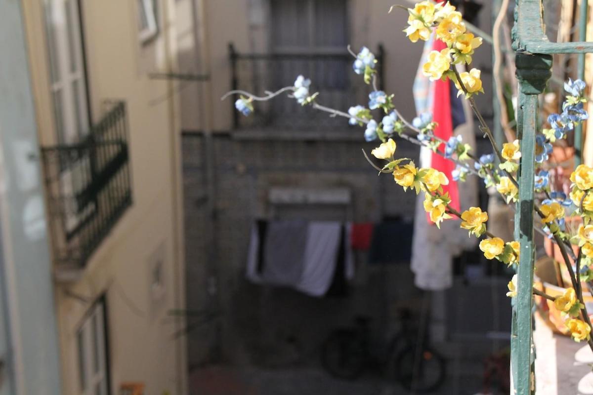 Martim Vaz Ii - Downtown * Lisbon