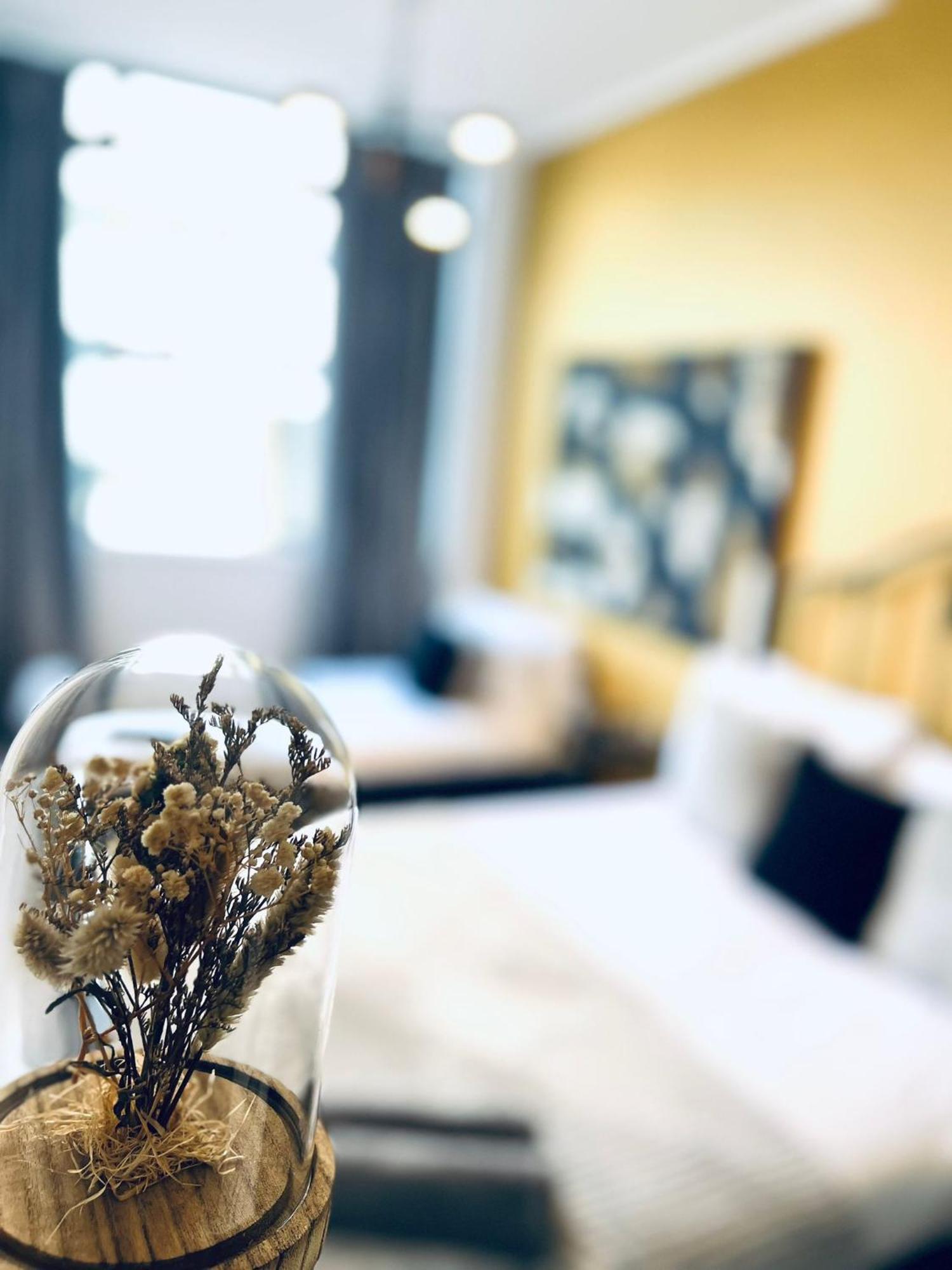 Hostel Luxury Rooms, Ideal For Tourists