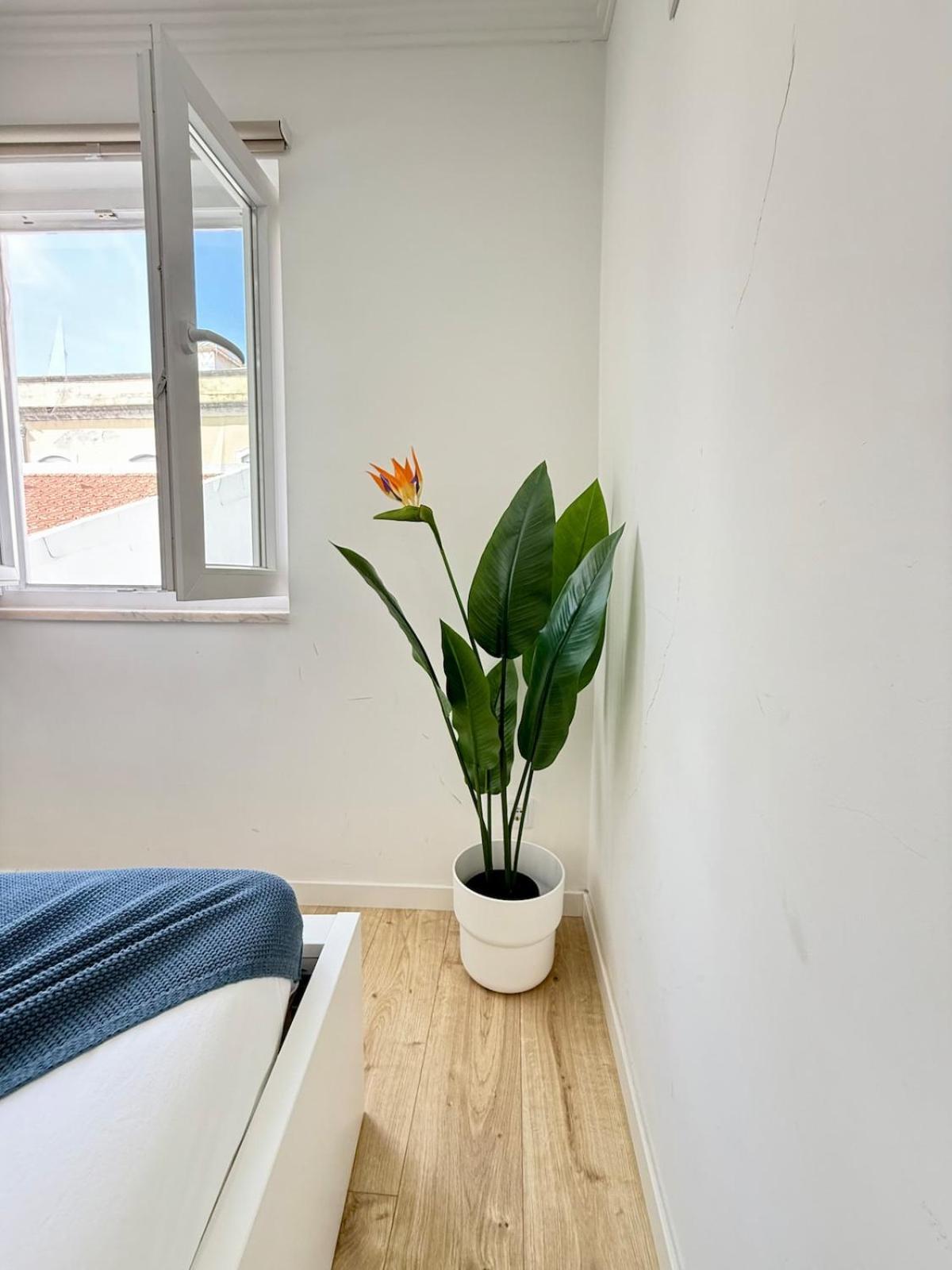 Paraiso Secreto Apartamento