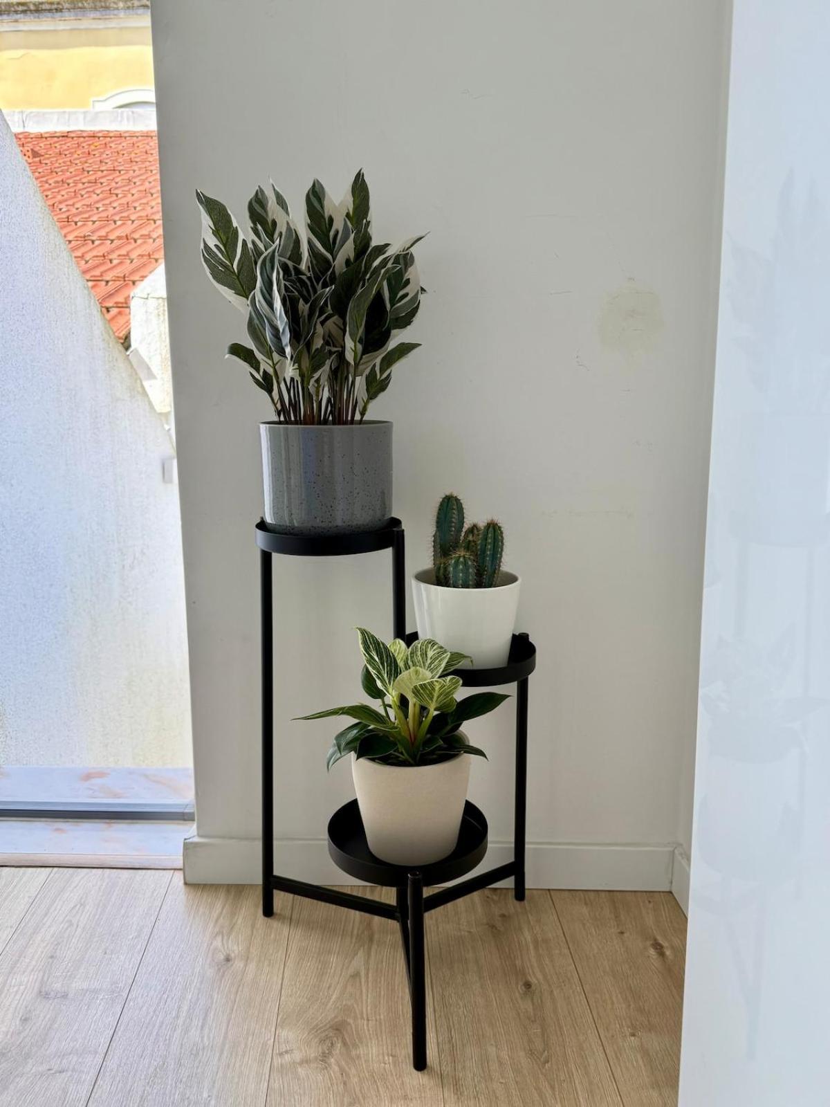 Apartamento Paraiso Secreto