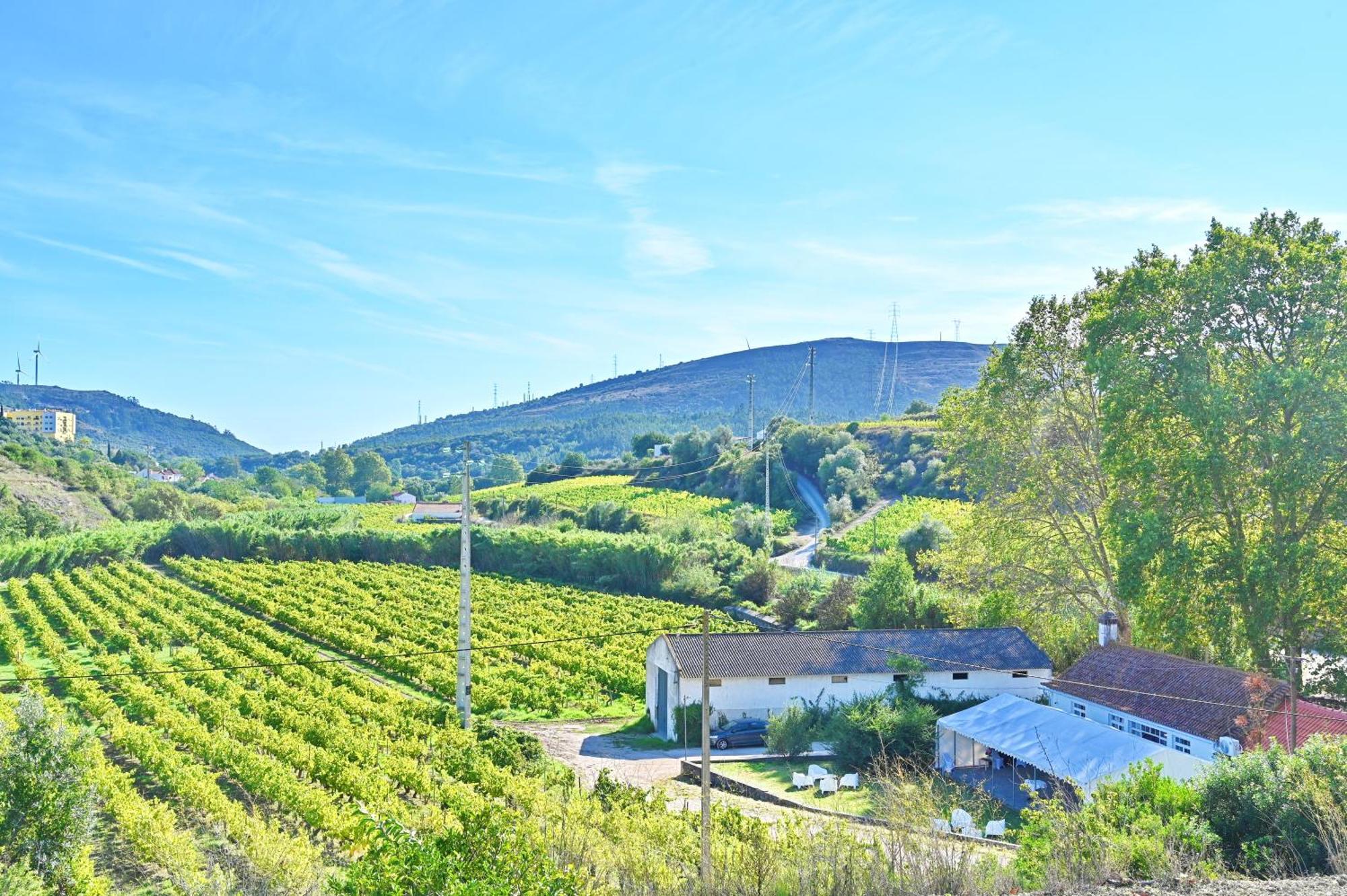 Holiday home Quinta Do Boicao Lisbon