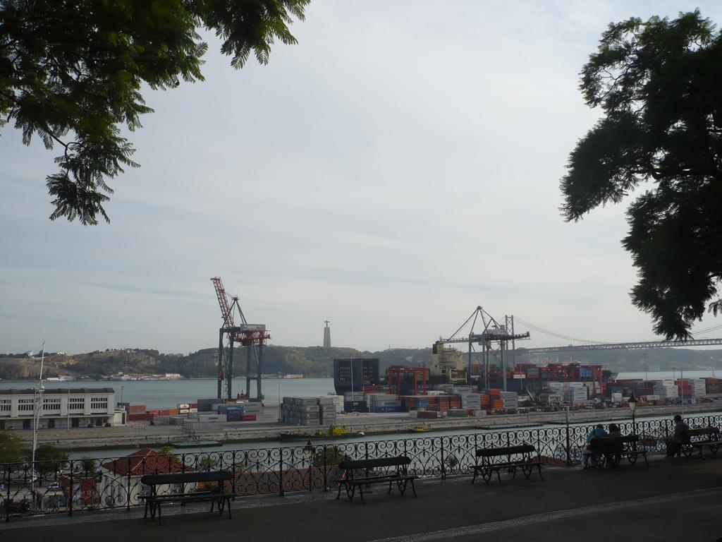 Olival 178