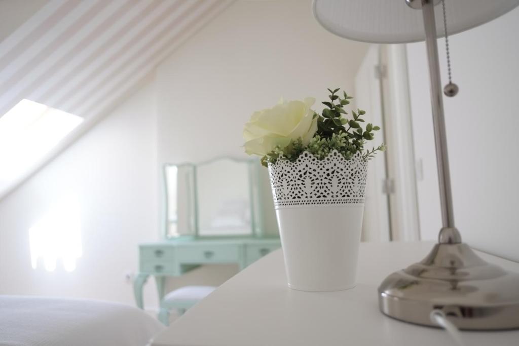 Apartamento Madalena Hermitage