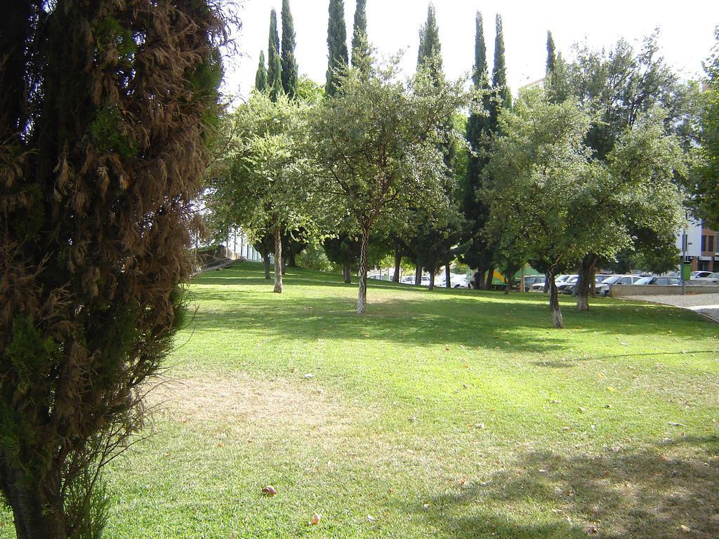 Apartamento World In - B. Prata *