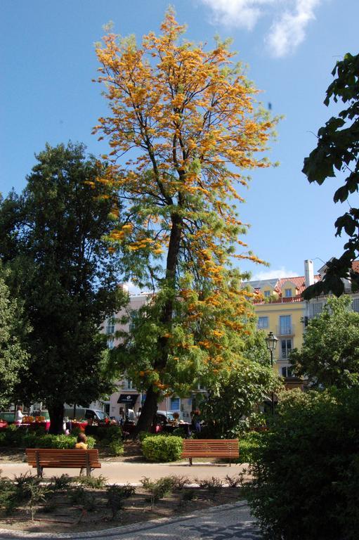 Guest house Principe Real Lisbon
