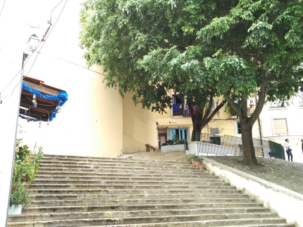Apartment Jasmim