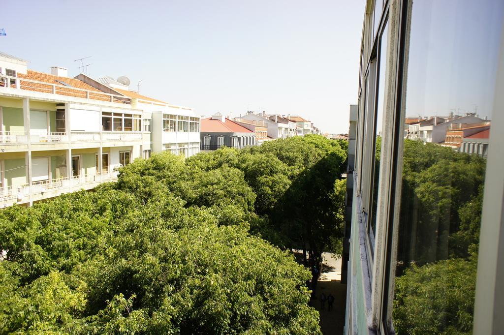 Apartment Ferreira Borges