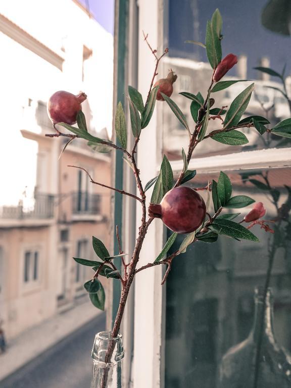 Cozy Janelas Verdes * Lisbon