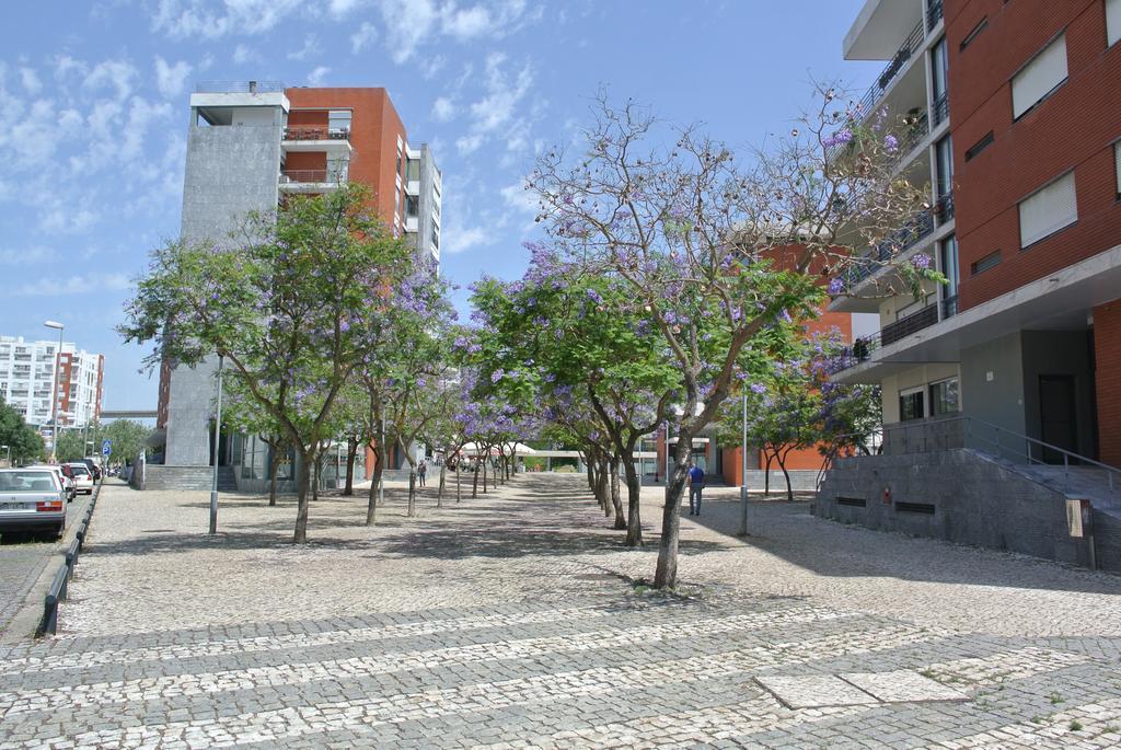 Mary Apartment *