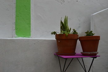 Terrace Albergue *
