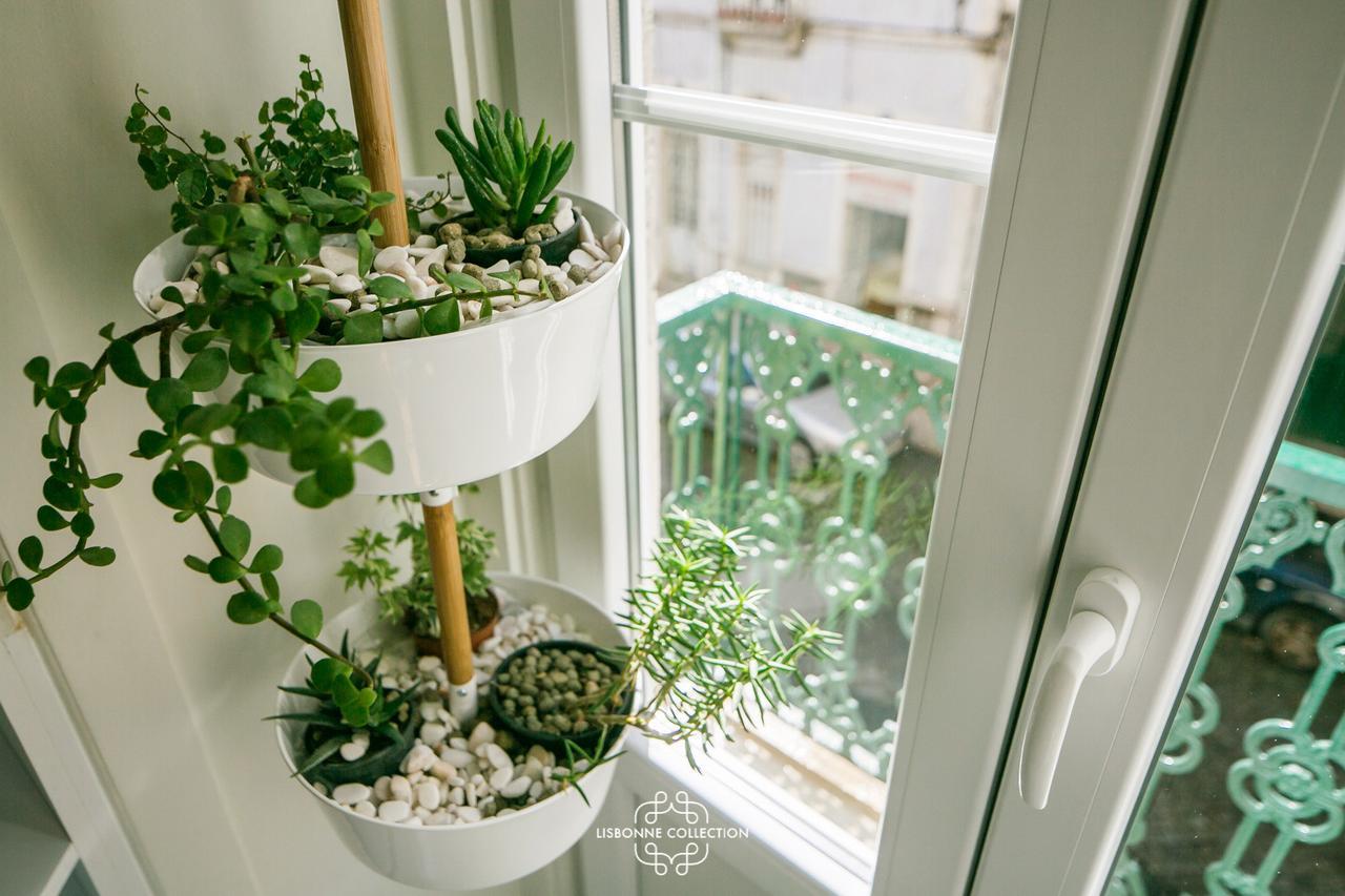 Apartment Very And Charming 60 By Lisbonne Collection Lisbon