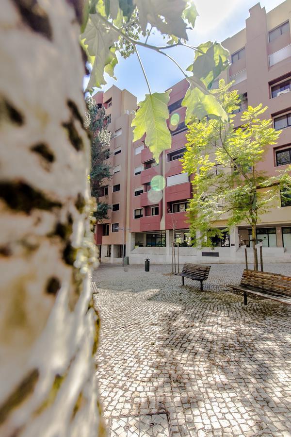 Apartment Place & Beyond *