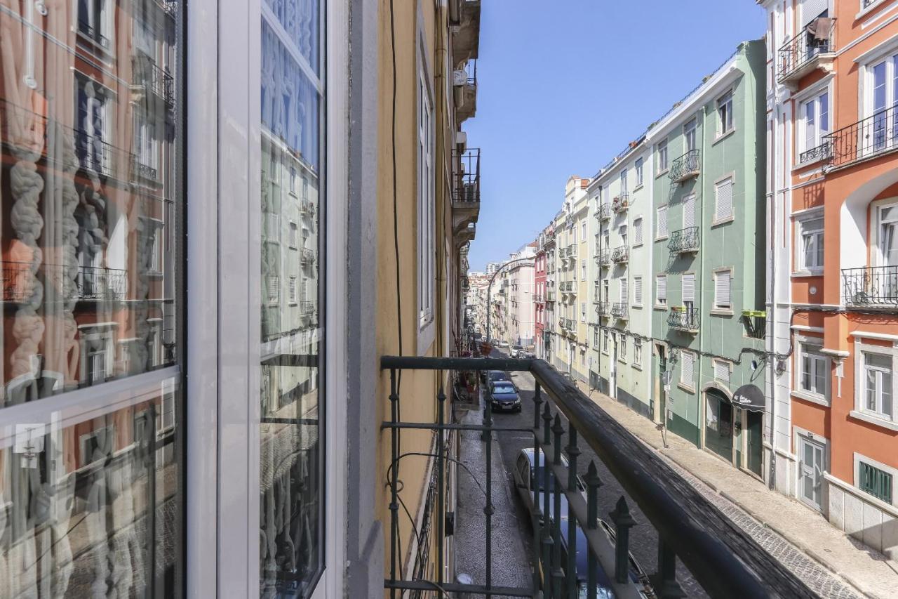 Red Almirante By Homing * Lisbon