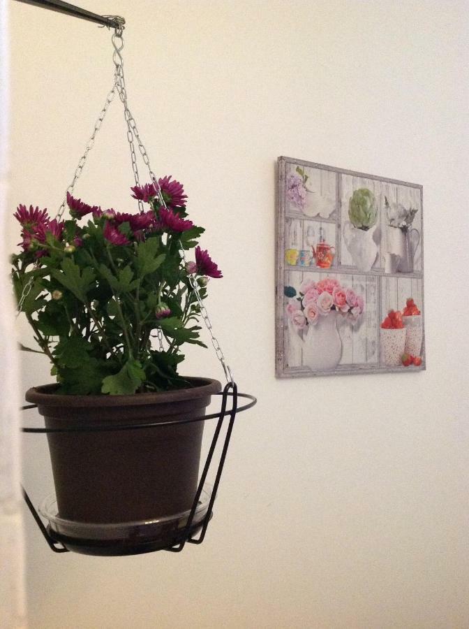 Guest house A Ponte Avenida