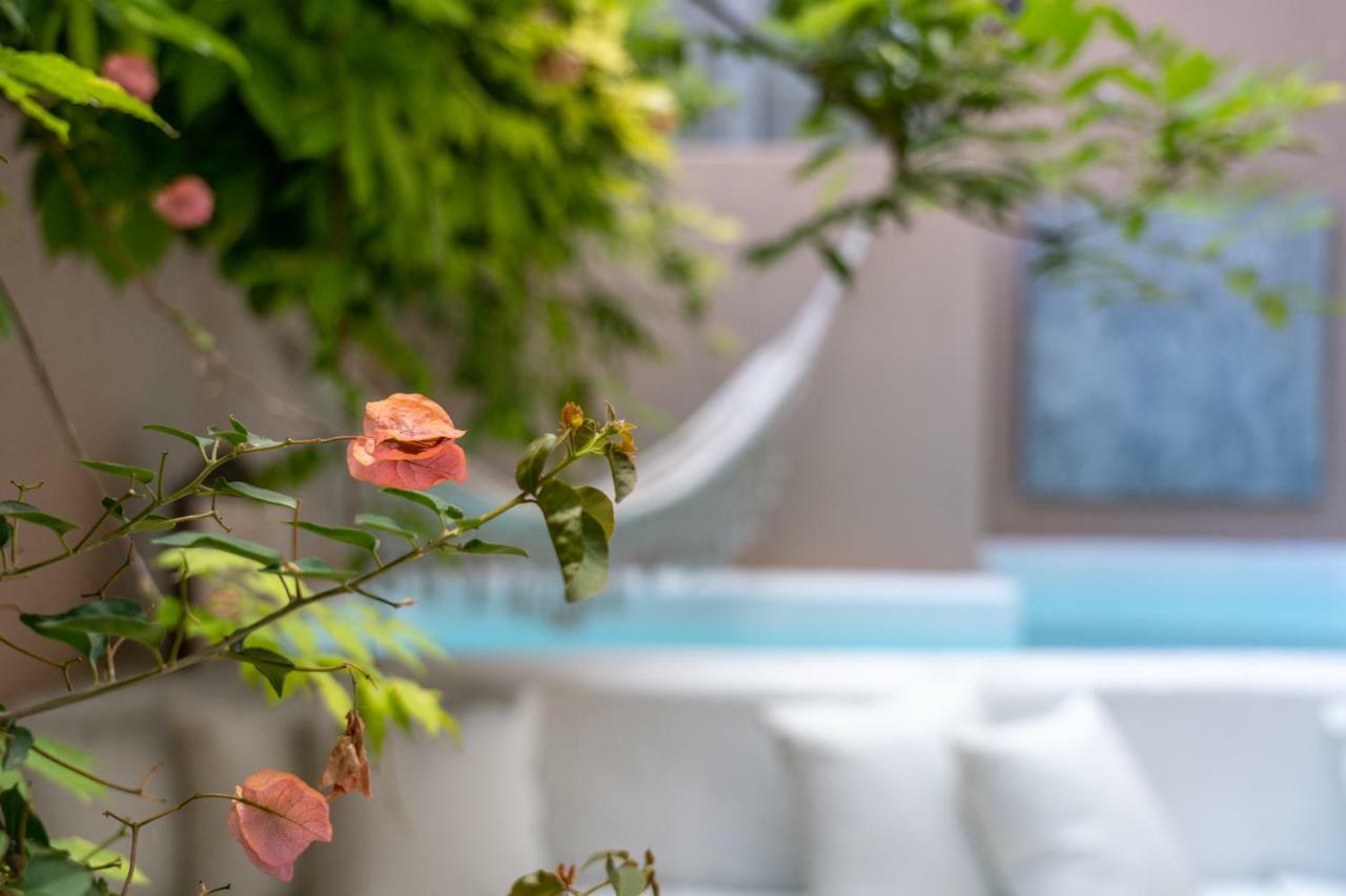 Garam Bed & Breakfast Lisbon