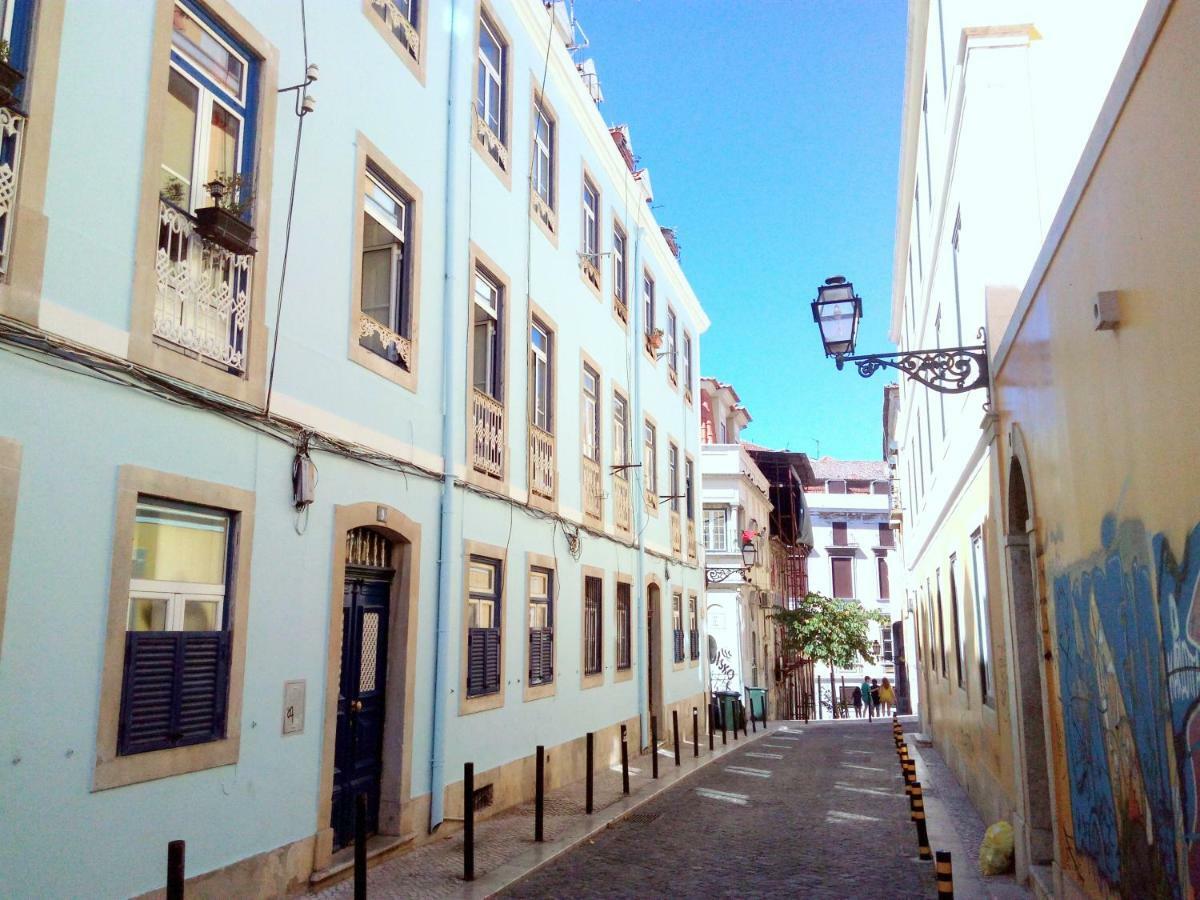 Comfy @ Chiado * Lisbon