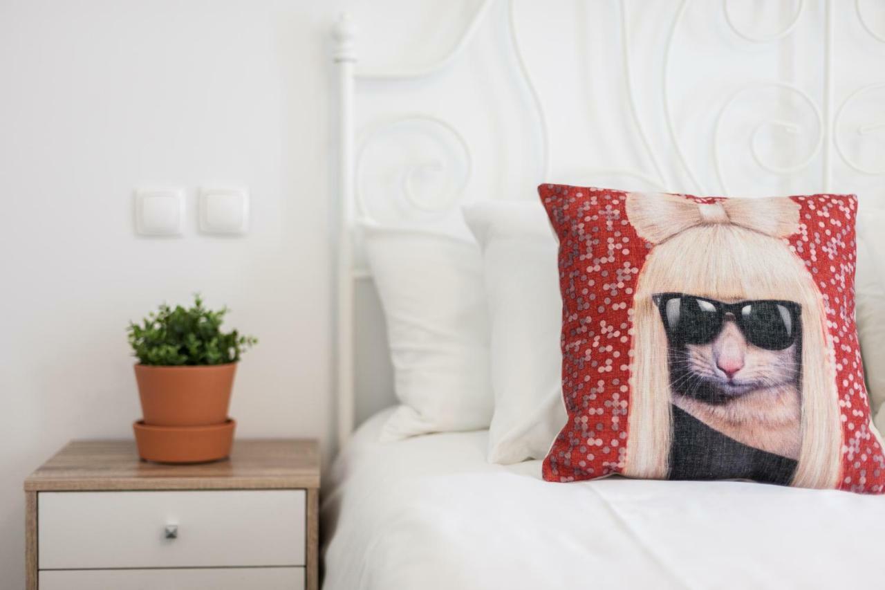 Apartamento Explore Vibrant From A Designer Loft At Casa Da Barroca *