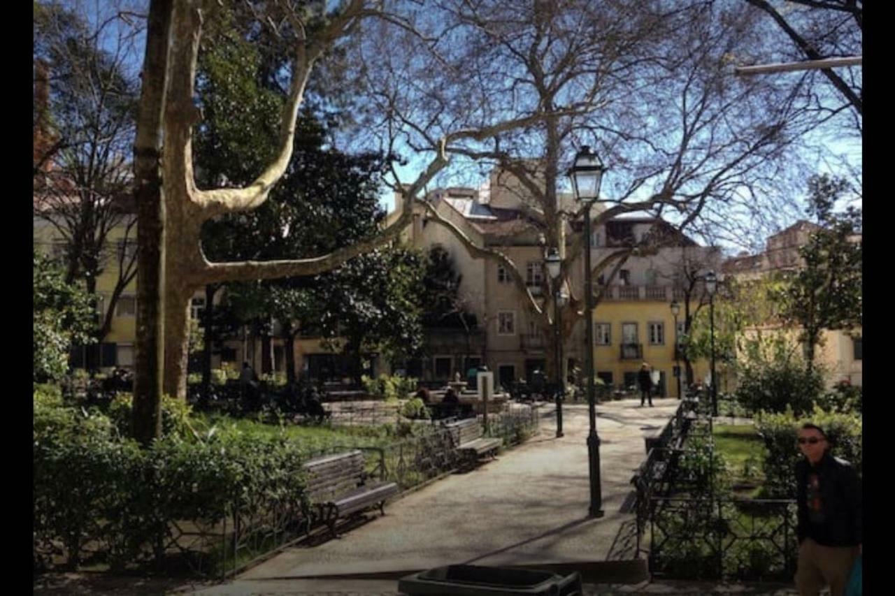 New Charming Flat - Center Lisbon