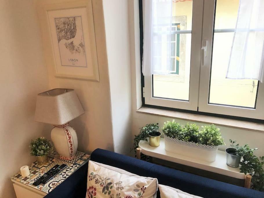 Apartment Cozy Flat Near Sao Bento Palace