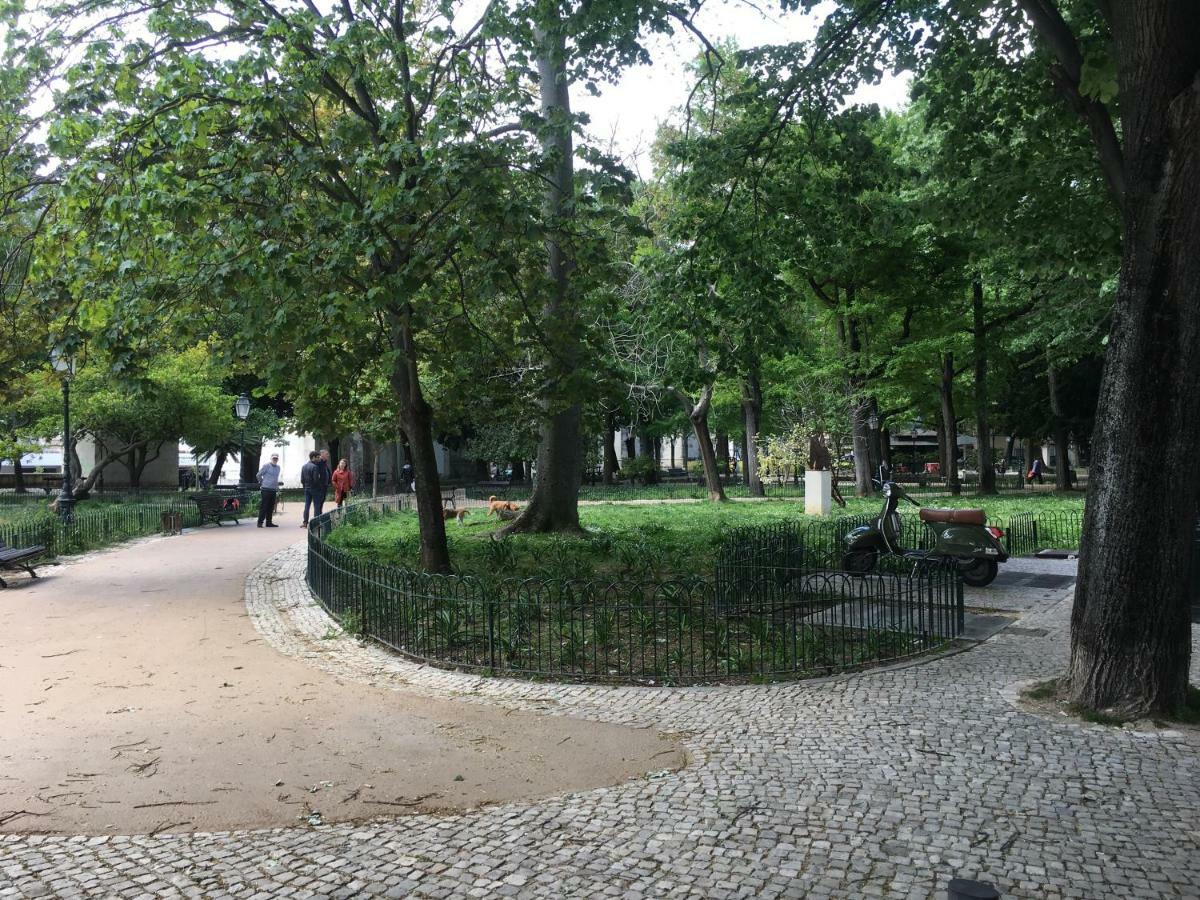 Jardim Amoreiras Apartamento