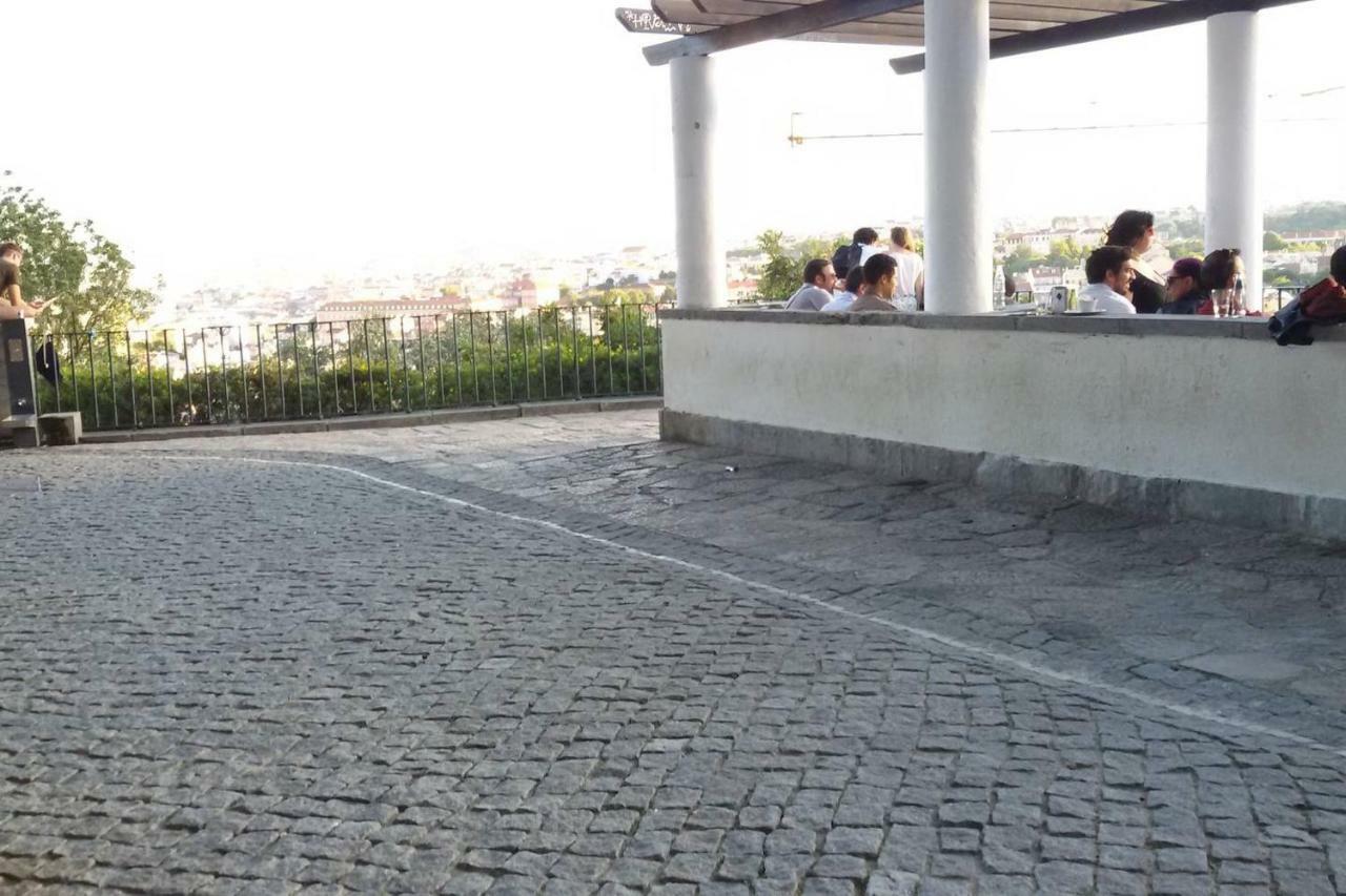 Sunny Orange Garden In Lisboa