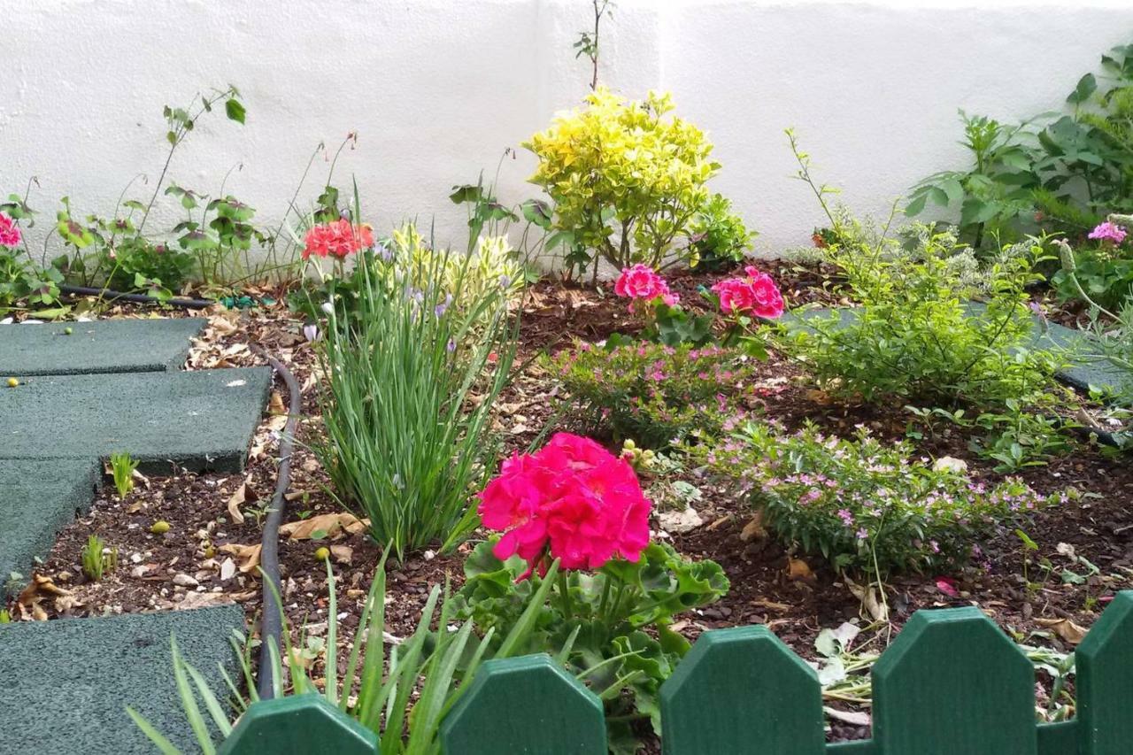 Sunny Orange Garden In Apartamento