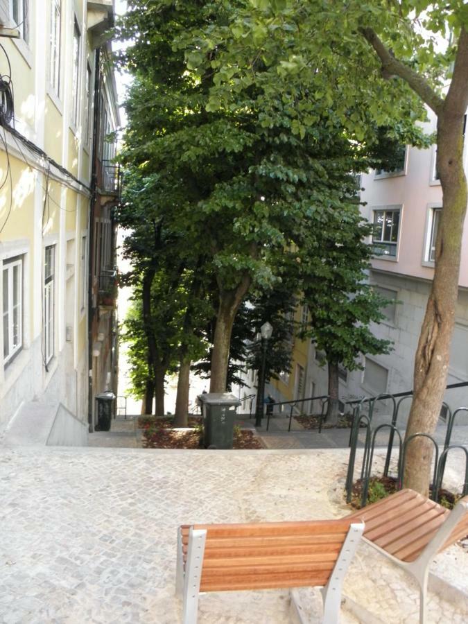 Sunny Orange Garden In * Lisboa