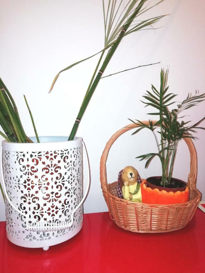 Apartament's Veiga Areeiro