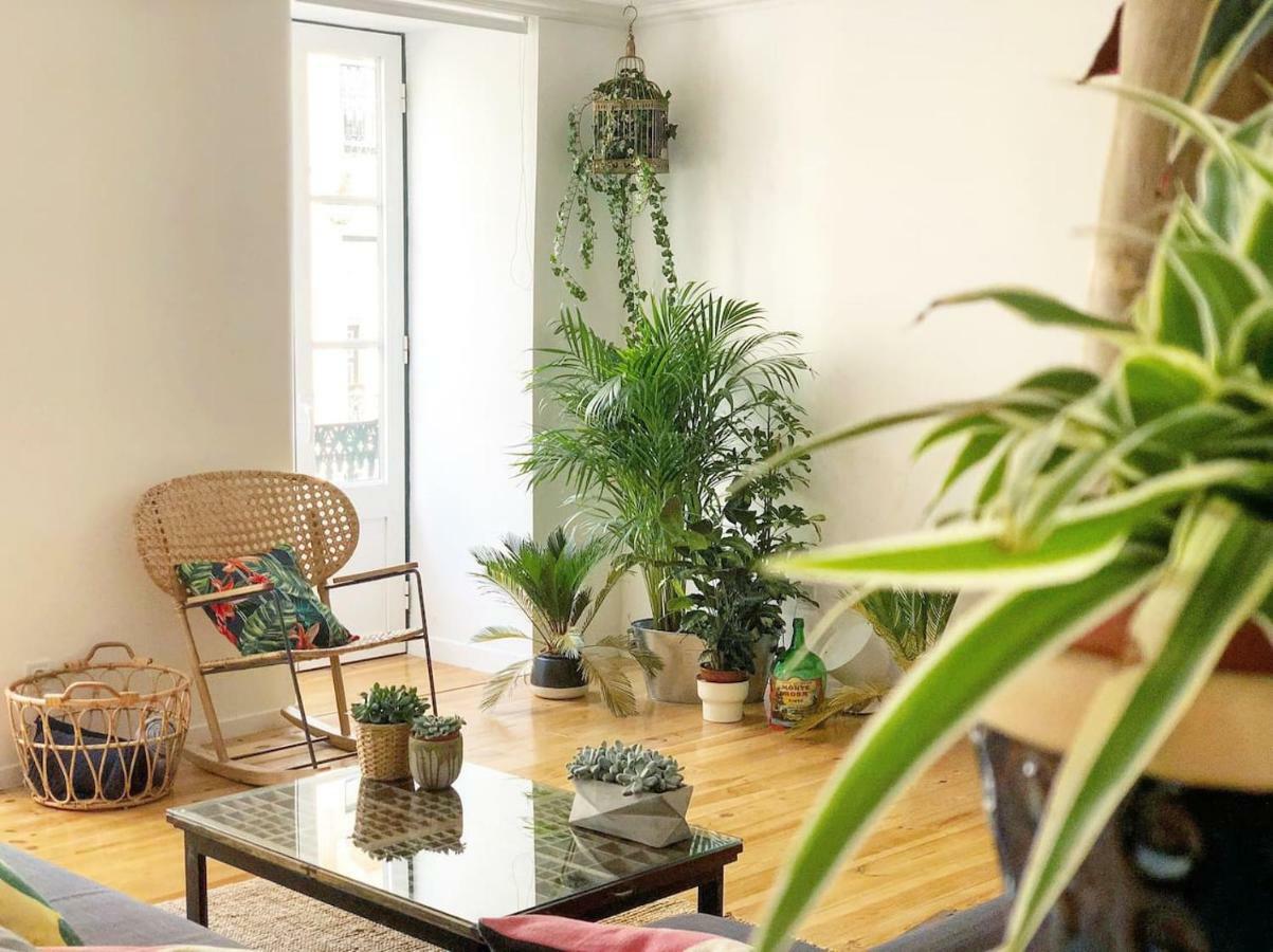 Apartment Fauna & Flora *