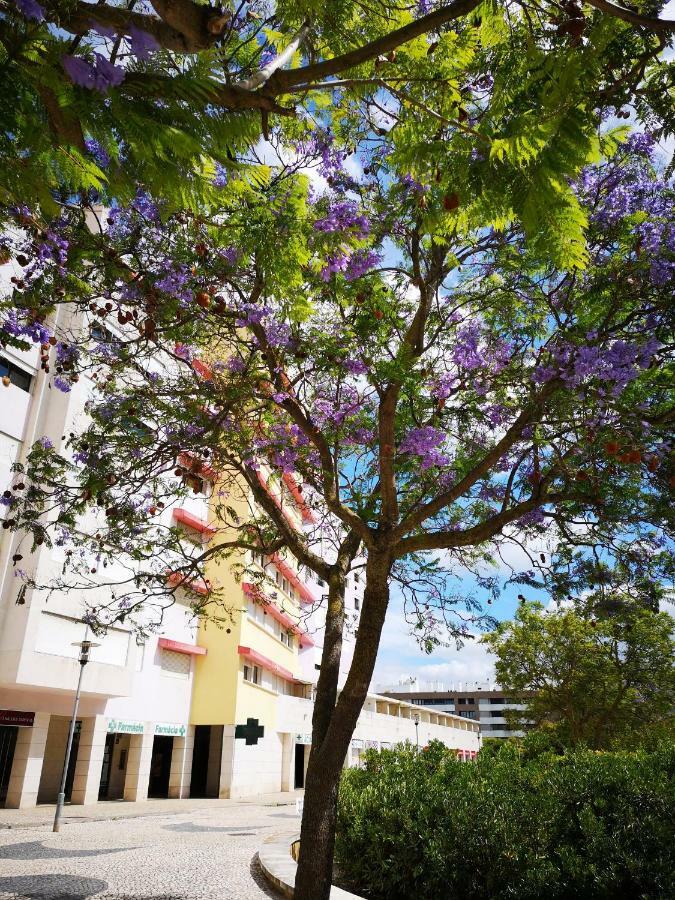 Apartment Jardim Dos Jacarandas
